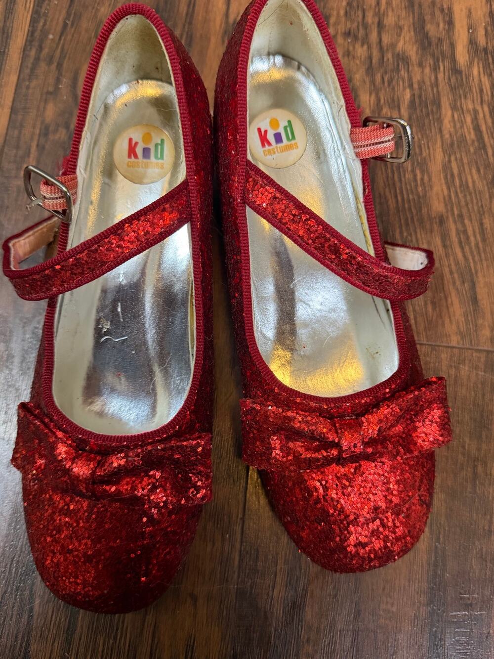 Dorothy Ruby Slippers Costume shoes Size 2 Girls